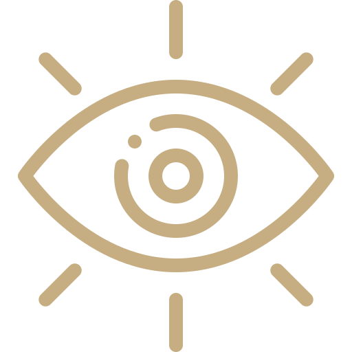 shared vision